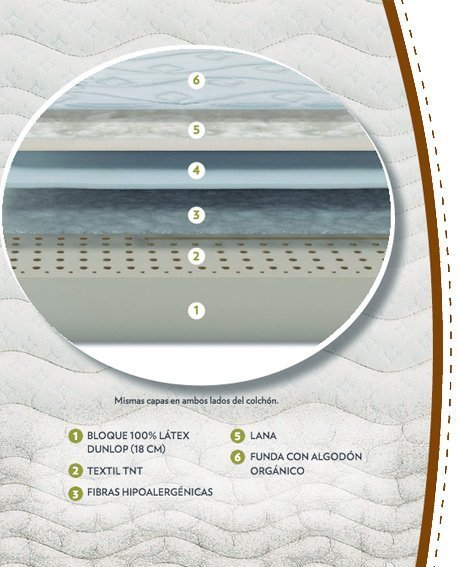 especificaciones dorwin natur talalay