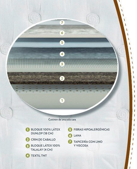 especificaciones dorwin natur talalay
