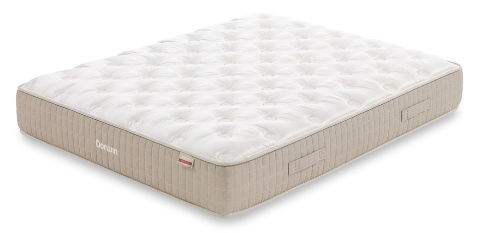 DORWIN NATUR TALALAY