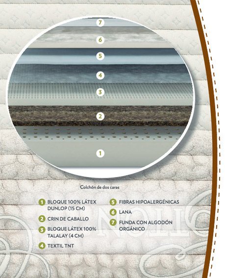 especificaciones dorwin natur talalay